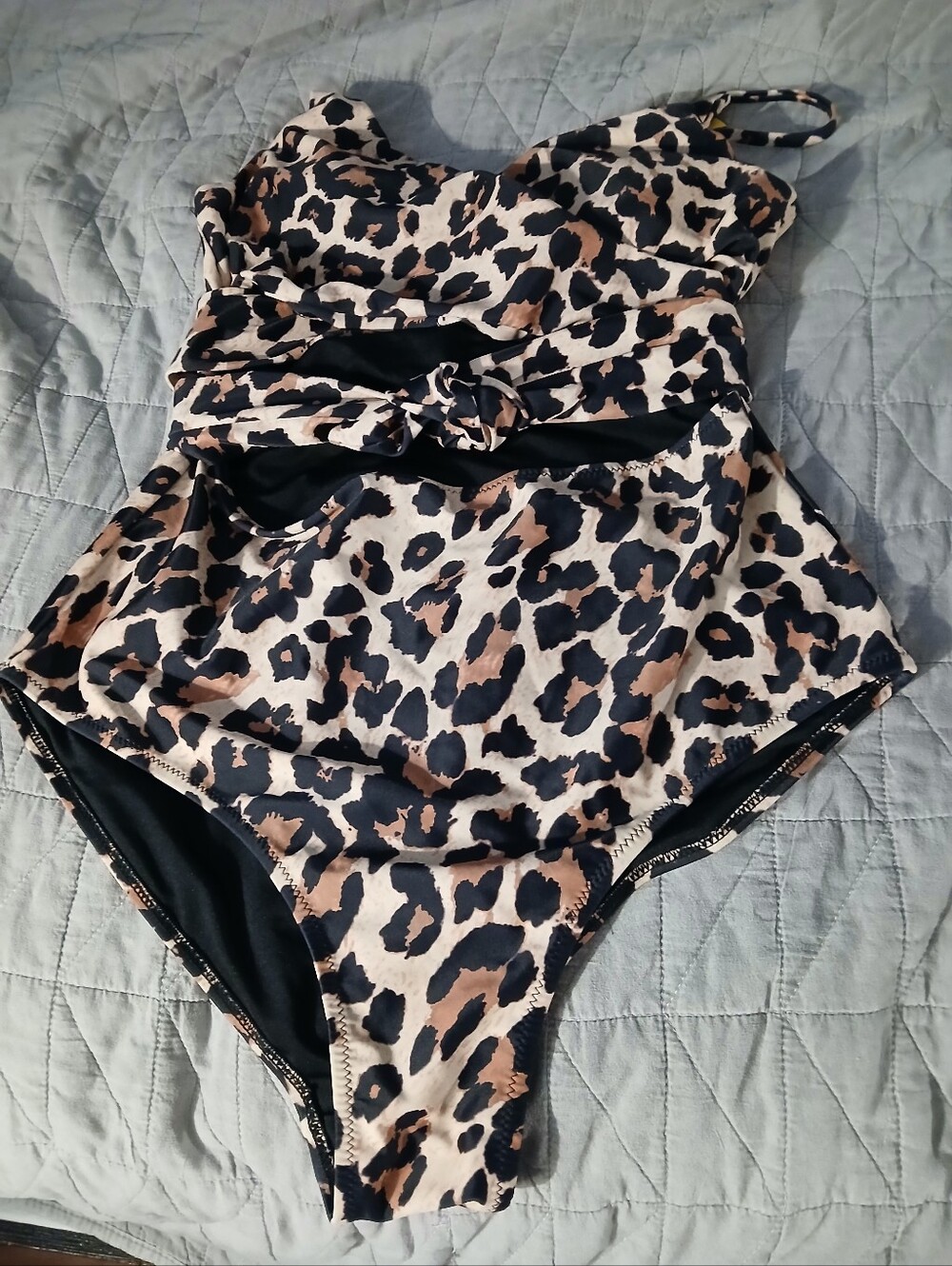 Leopard Print One-Piece Swimsuit - Tan & Black